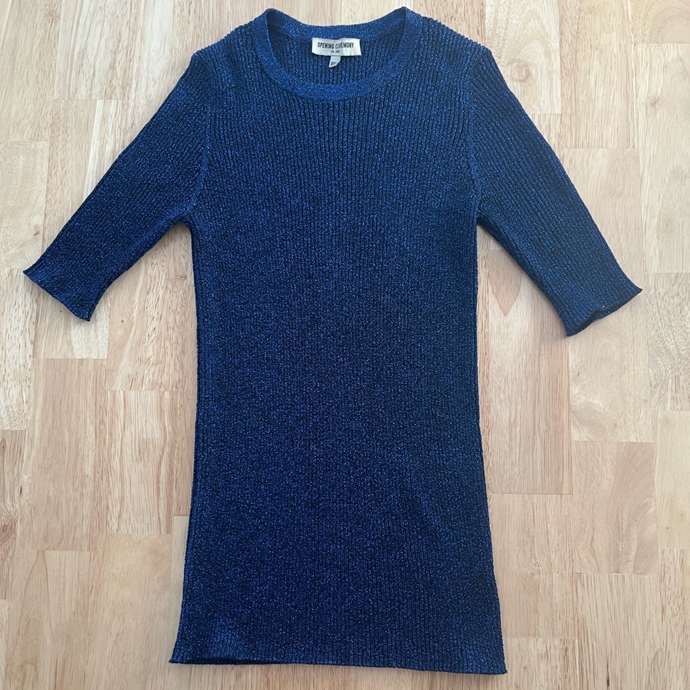 Opening Ceremony Glitter Top
